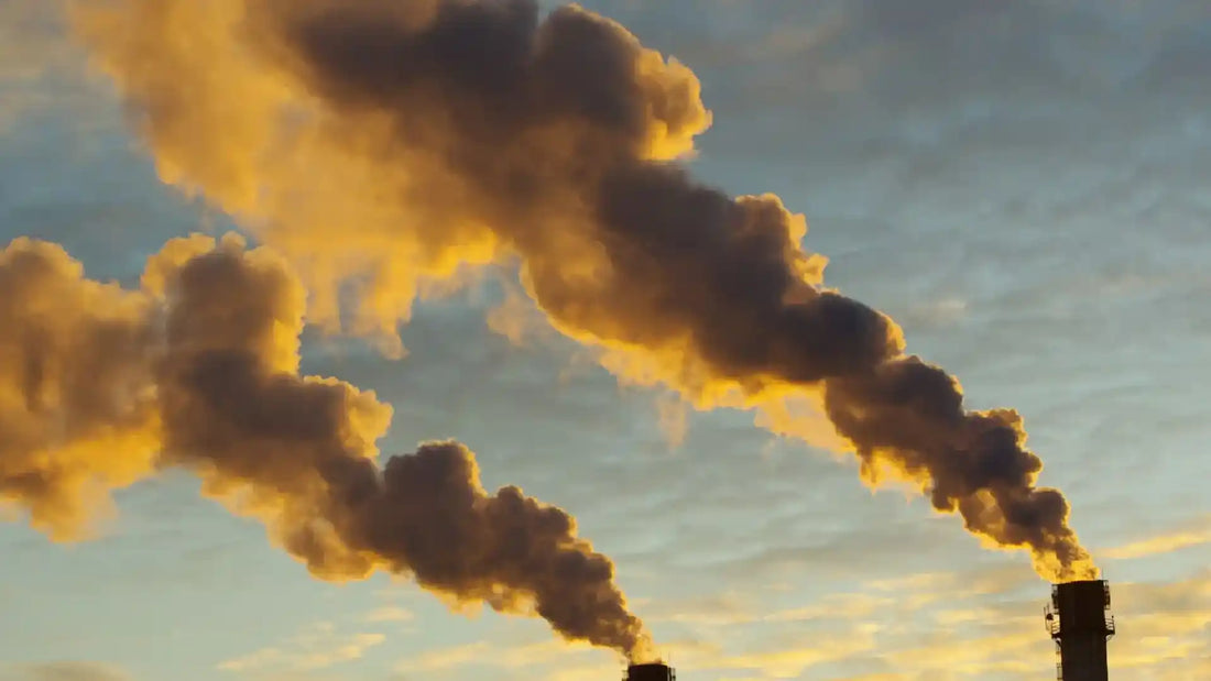 10 Habits to Follow During High Pollution Days