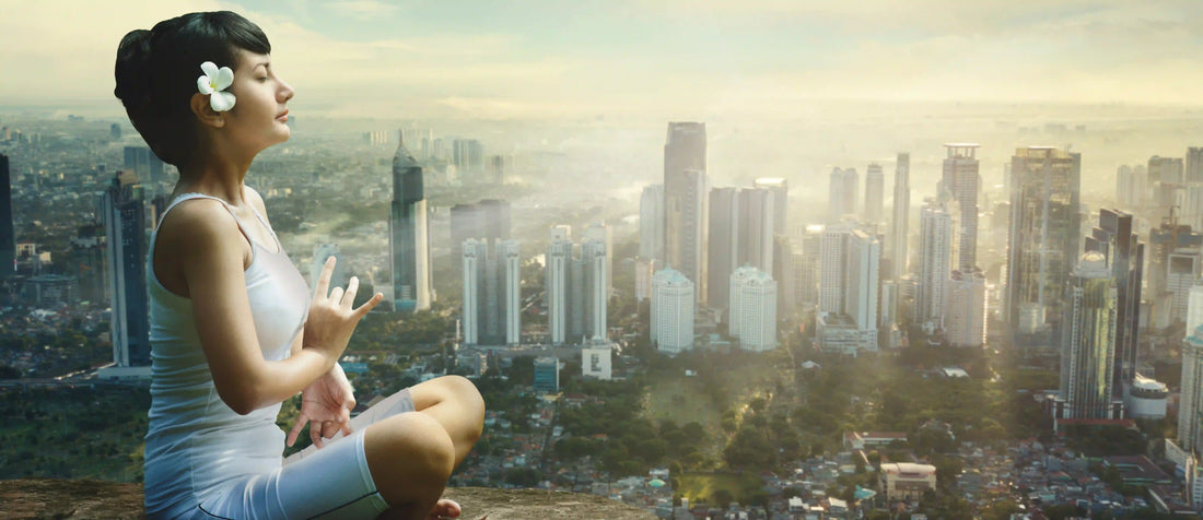 Clean Air Tips for Urban Living: What Every City Resident Should Know