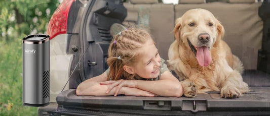 Why Kids and Pets Need Cleaner Air During Car Rides