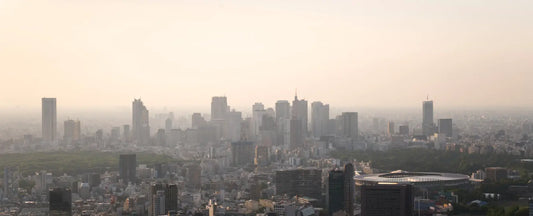 PM2.5 vs PM10: What’s More Dangerous and Why